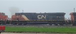 CN 2810